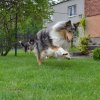 ceska