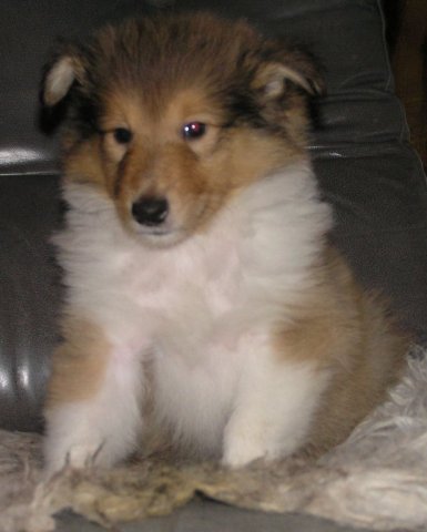 ella