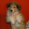 geraldine