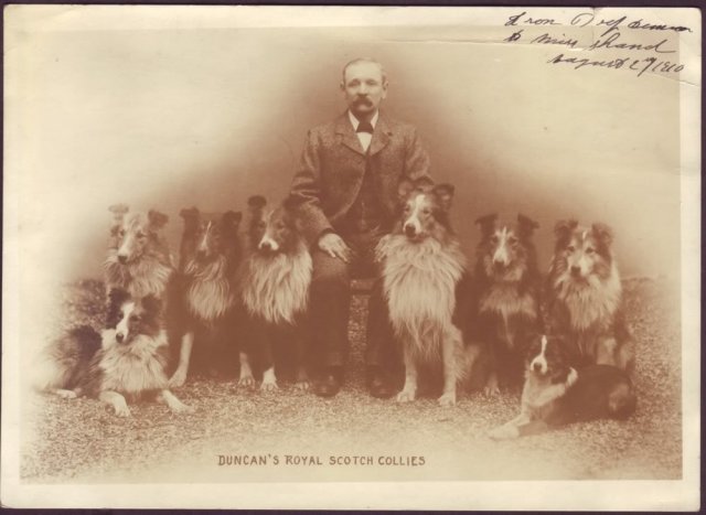 1890s_roughcollies