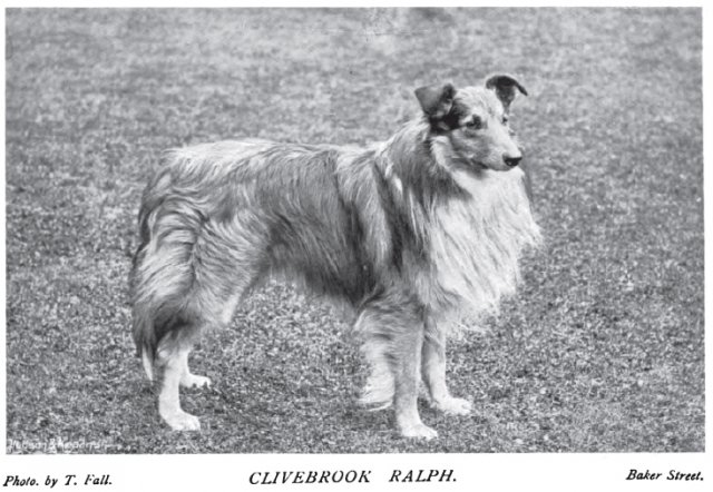 1897_collierough_clivebrookralph