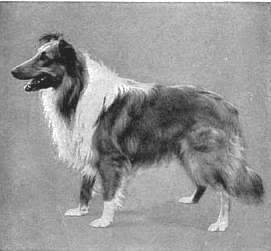 1910_collierough