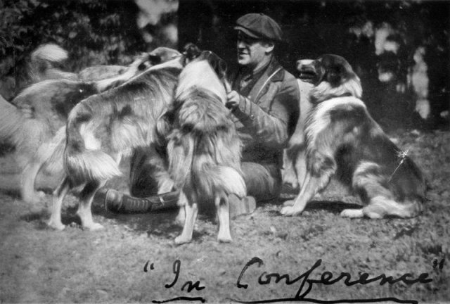1922_colliesrough_terhune