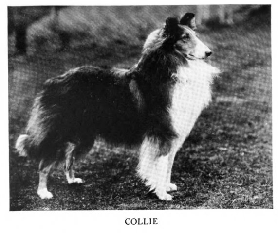 1938_collierough
