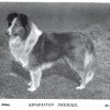 1897_collierough2