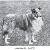 1897_collierough_clivebrookralph
