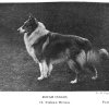 1904_collierough