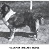1911_collierough