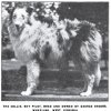 1920_collierough
