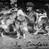 1922_colliesrough_terhune