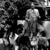 1937_collies_colonelwilberforce_del